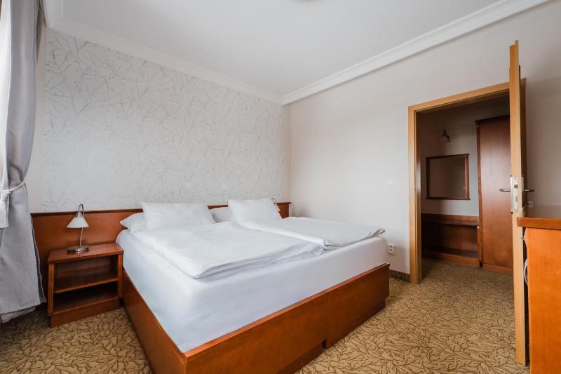 Hotel VÍTKOVA HORA - image 10