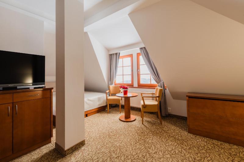 Hotel VÍTKOVA HORA - image 49