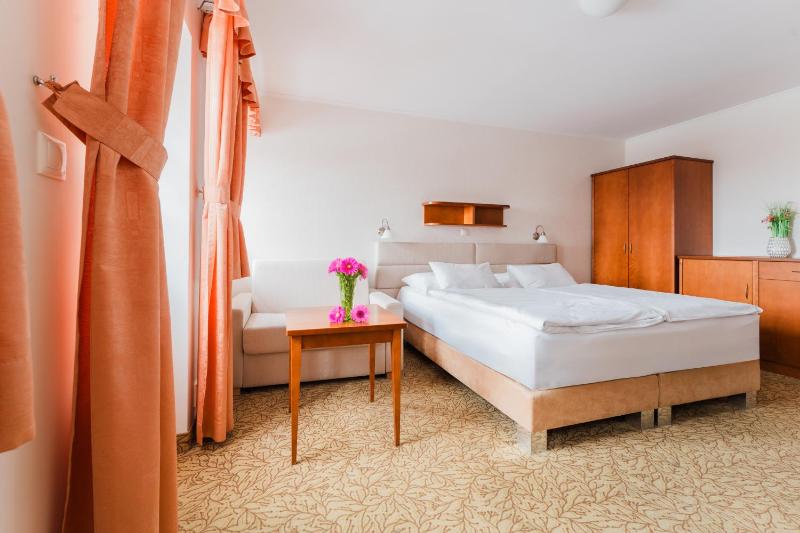 Hotel VÍTKOVA HORA - image 32