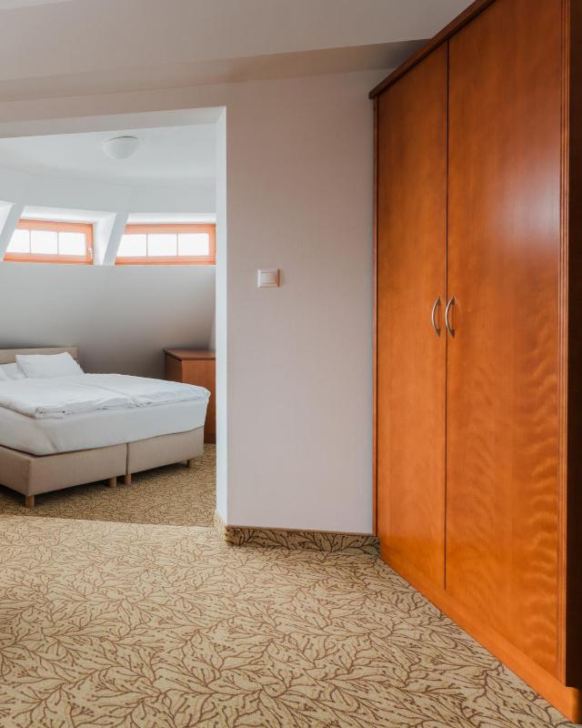 Hotel VÍTKOVA HORA - image 43