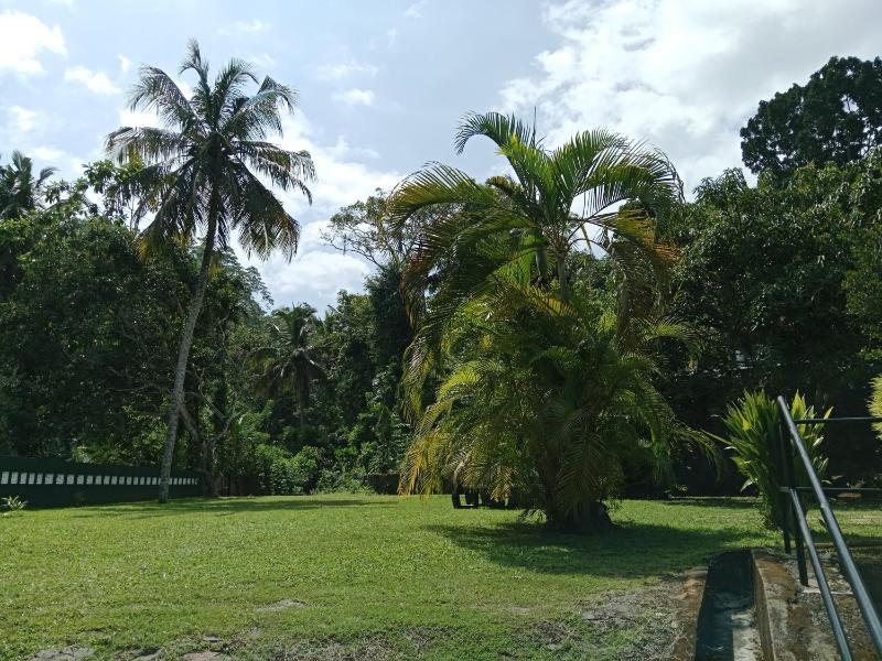 Calm Villa Ahangama - image 35