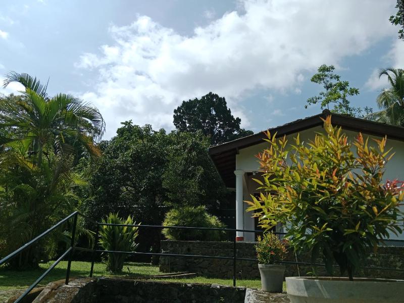 Calm Villa Ahangama - image 19