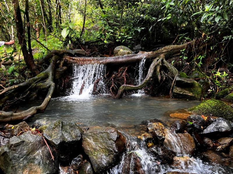 Cloud Forest Villas- Eco Lux - All Inclusive - image 7