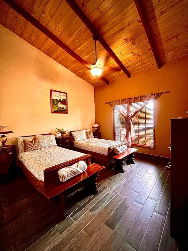 Cloud Forest Villas- Eco Lux - All Inclusive - image 5