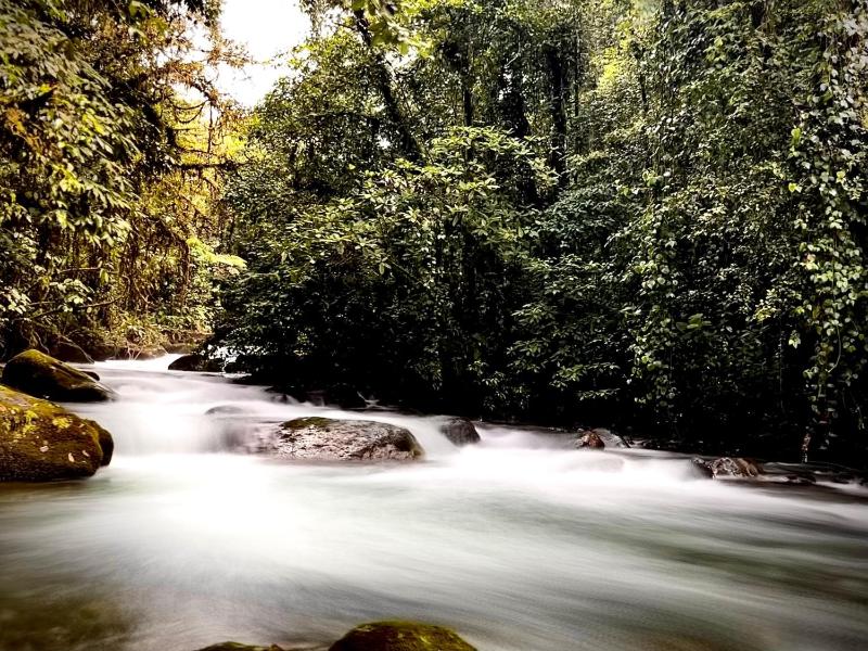 Cloud Forest Villas- Eco Lux - All Inclusive - image 8