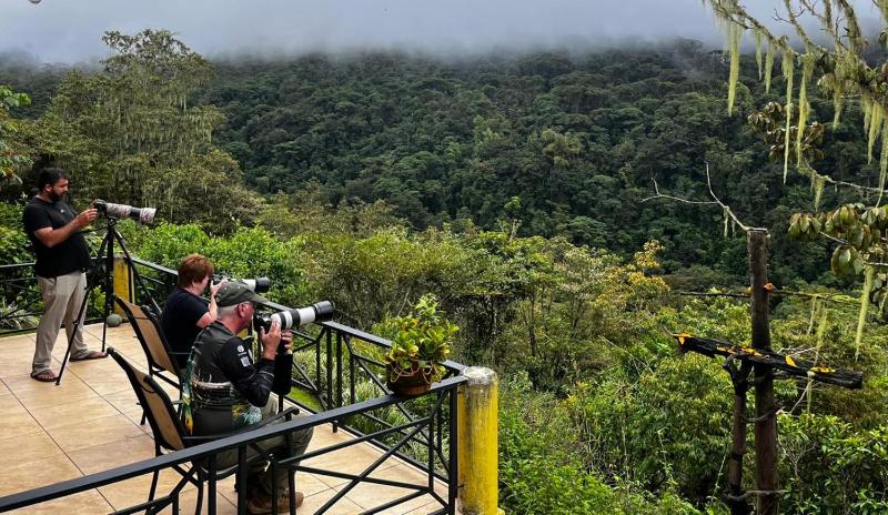 Cloud Forest Villas- Eco Lux - All Inclusive - image 14
