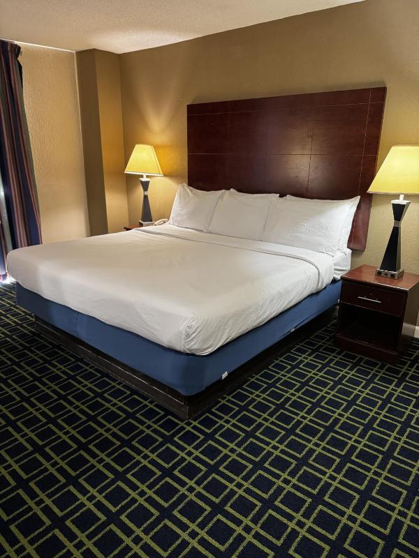 Barclay Hotel Atlanta Downtown - image 22