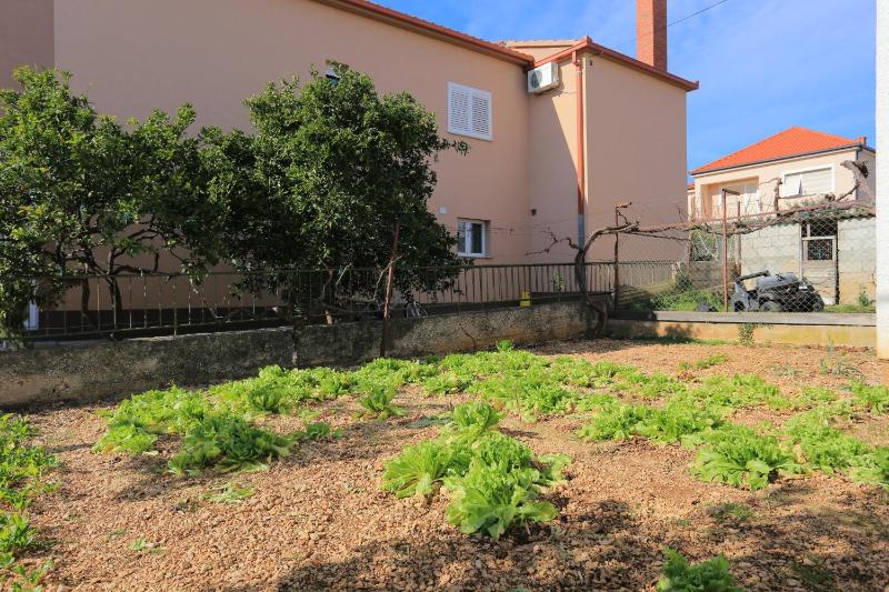 Apartments with parking space Trogir - 18116 - image 14