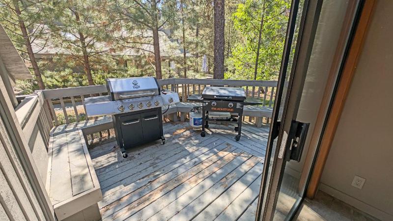 Red Fir 20 - image 23