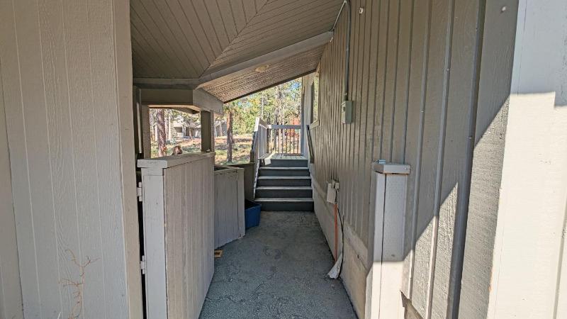 Red Fir 20 - image 6