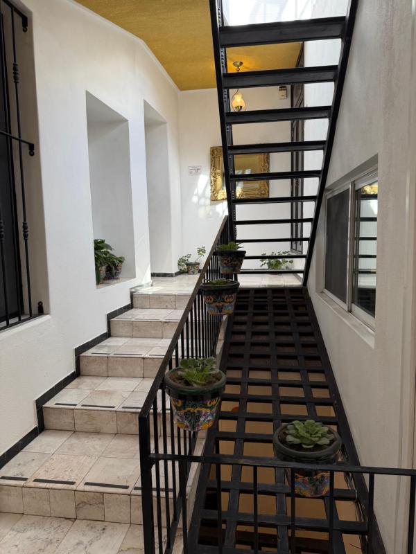 Hotel Luna - image 11