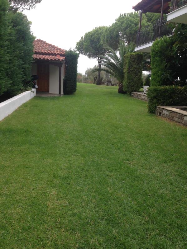 Villa POLYTIMI - image 33