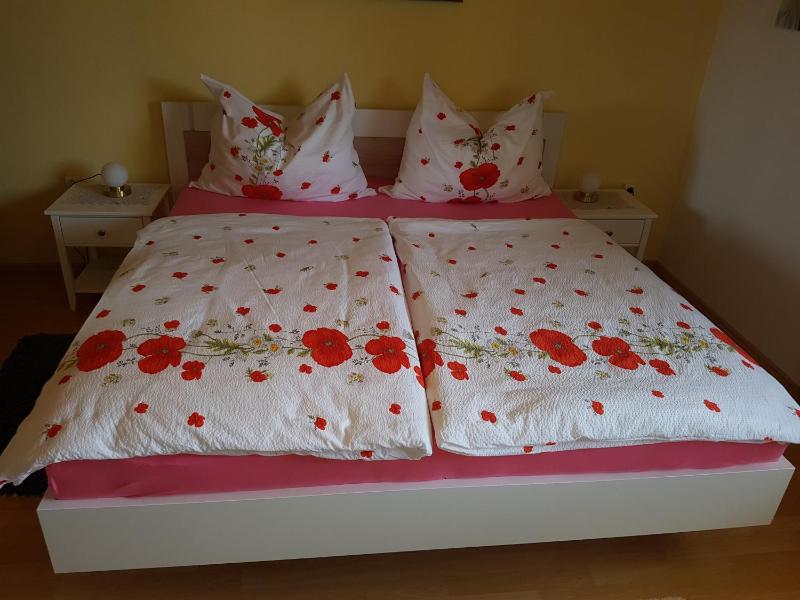 Twin Room with Mountain View image 2