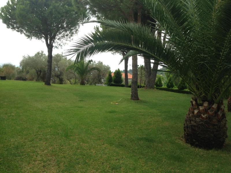 Villa POLYTIMI - image 26