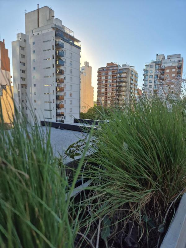 Oasis Urbano - bello departamento amoblado en la mejor zona de Guemes - image 16
