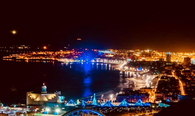 Loft Dalia Las Canteras Beach free parking&wifi - image 21