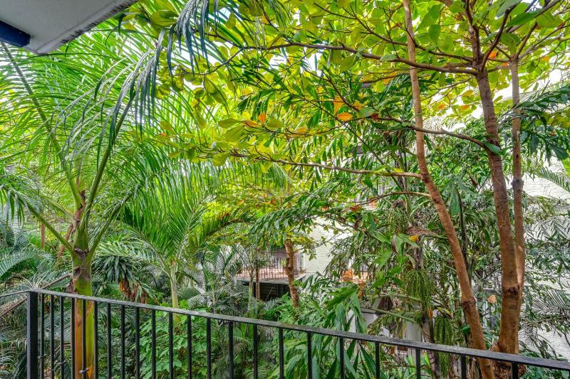 1 Block to Playa Los Tules Pool Access! Lush Unit - image 7