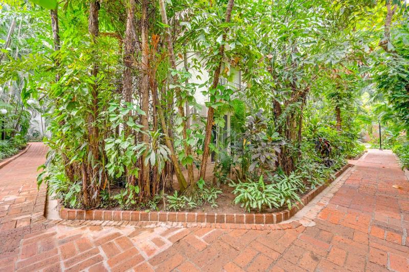 1 Block to Playa Los Tules Pool Access! Lush Unit - image 13