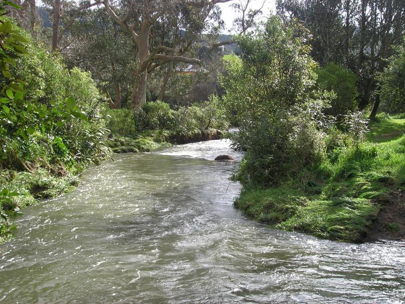 Bucket Tree Lodge - image 22
