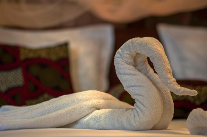 Treasures of Zanzibar House - image 7