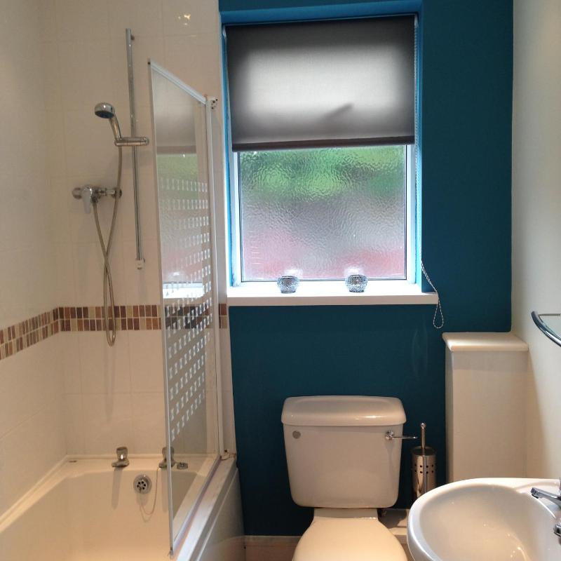 One-Bedroom Apartment image 3