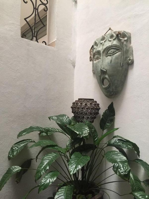 Casa del Parque Vallarta - image 8
