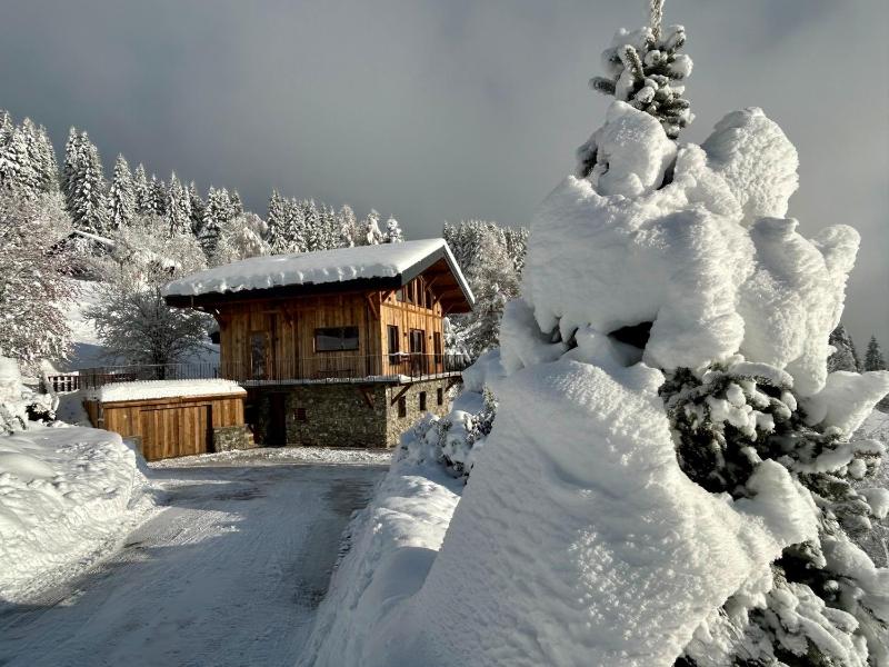 Chalet Cagou - Les Gets - Vue Mont-Blanc - image 9