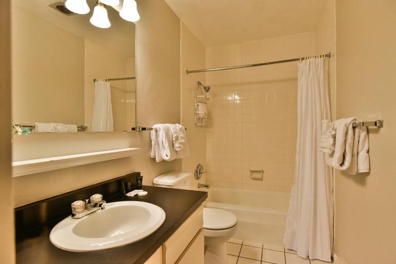 Tamarisk Randonnée Condo: Excellent Location - image 26