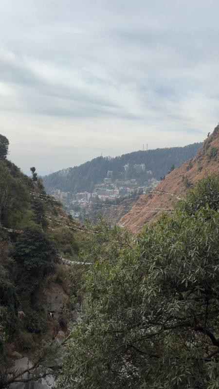 Tranquil Trails Home Stay Naddi - image 47