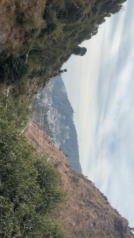 Tranquil Trails Home Stay Naddi - image 36