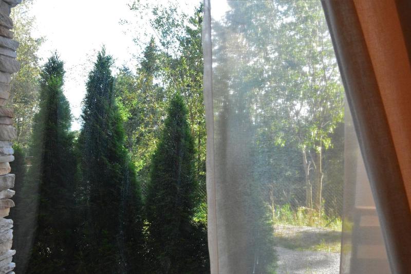 One-Bedroom Apartment with Forest View image 3
