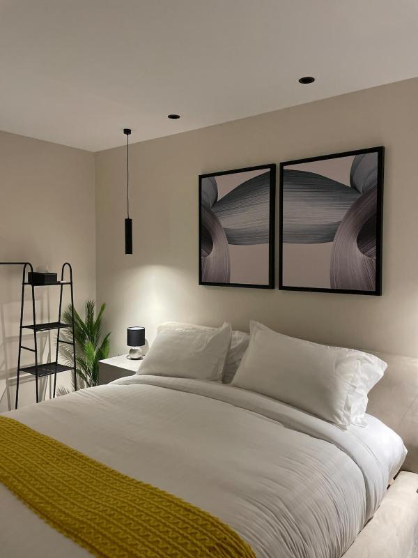 Modern one bedroom apartment - image 6