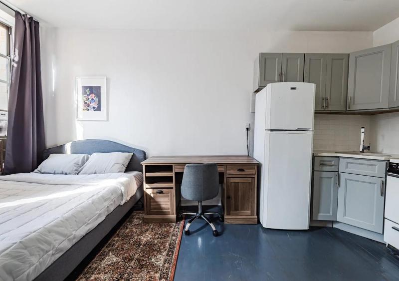 Cozy Studio! Steps to Central Park & Upper E Side! June To Aug 90 Days Stay Required - image 10