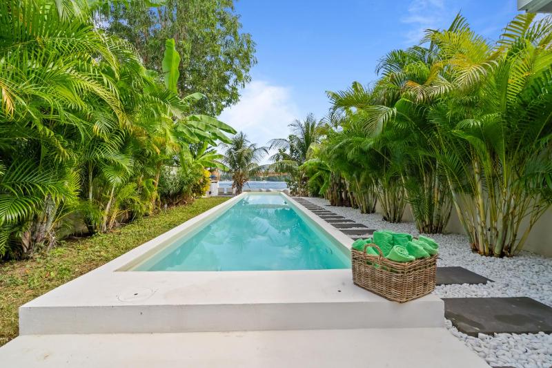 Casa Blanca - image 6
