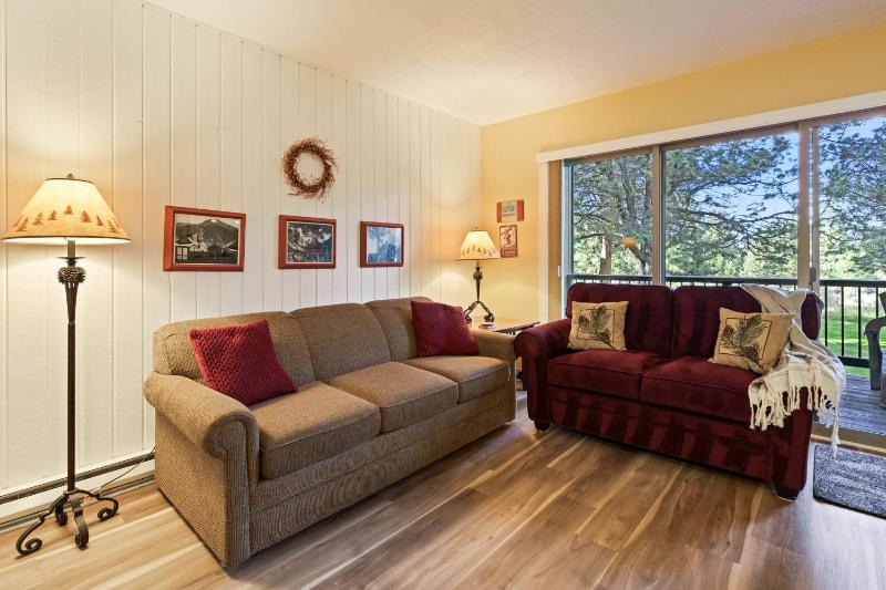 Ski Condo 138 - image 3