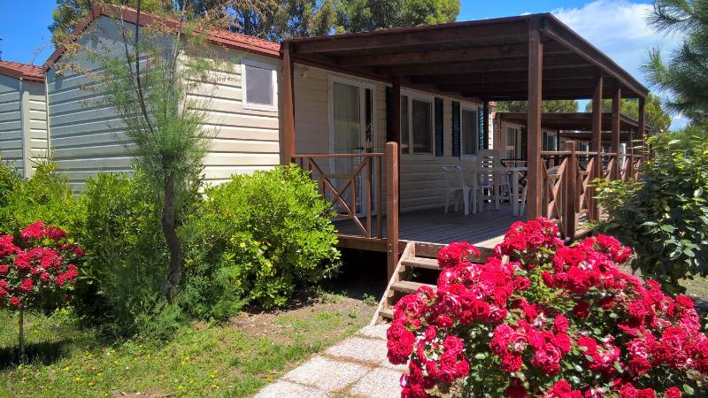 Mobile Home Standard ( 4 Adults) image 3