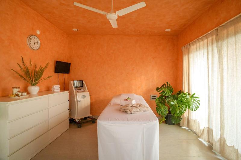 VSR Vriksha Naturopathy Wellness Resort - image 13