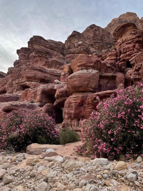 Nadina Bedouin home - image 16