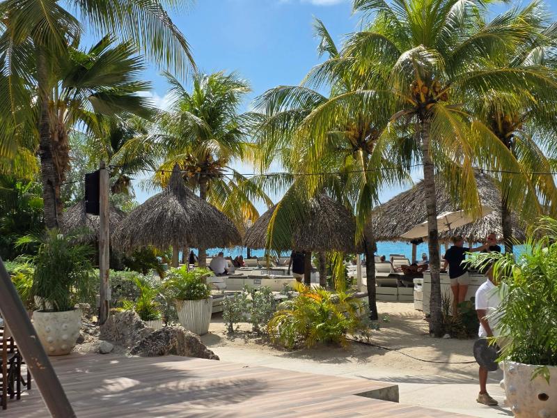 Curacasitas - image 34