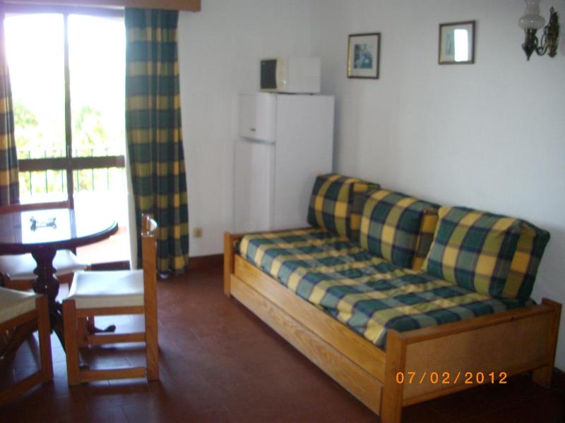 Superior One-Bedroom Apartment image 3