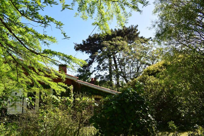 Family home in Las Delicias garden and barbecue - image 20