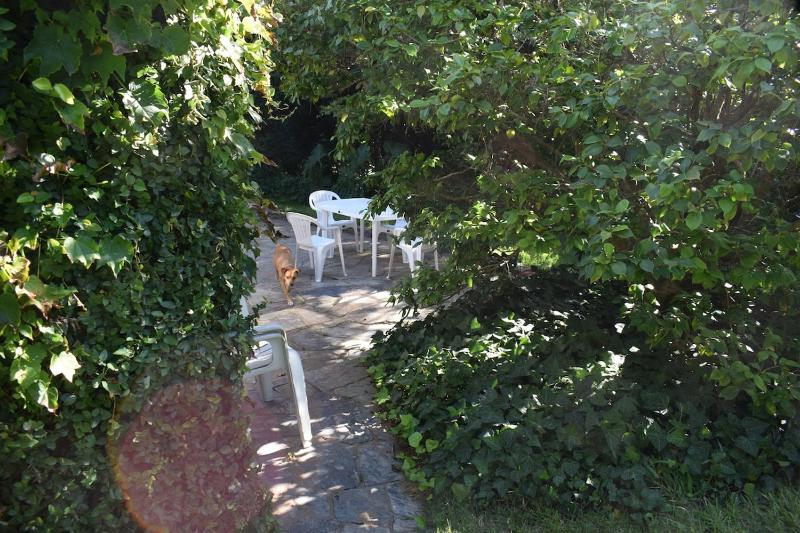 Family home in Las Delicias garden and barbecue - image 47