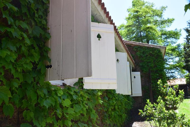 Family home in Las Delicias garden and barbecue - image 2