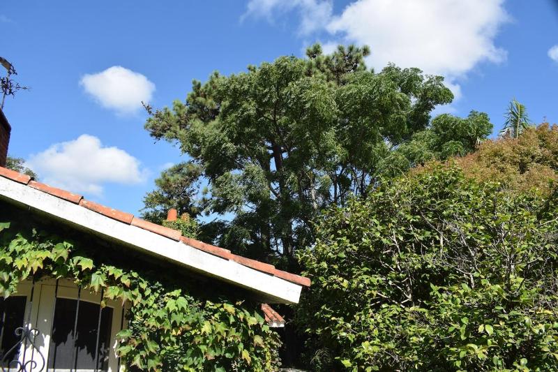 Family home in Las Delicias garden and barbecue - image 34
