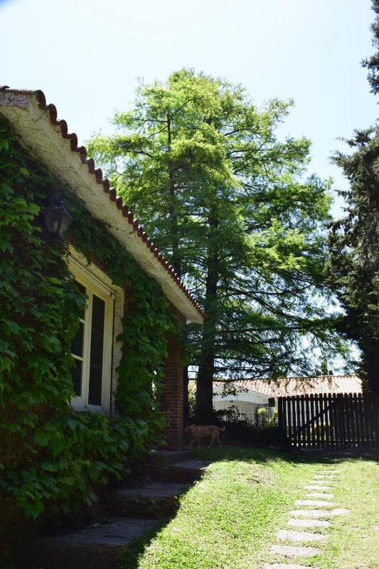 Family home in Las Delicias garden and barbecue - image 25