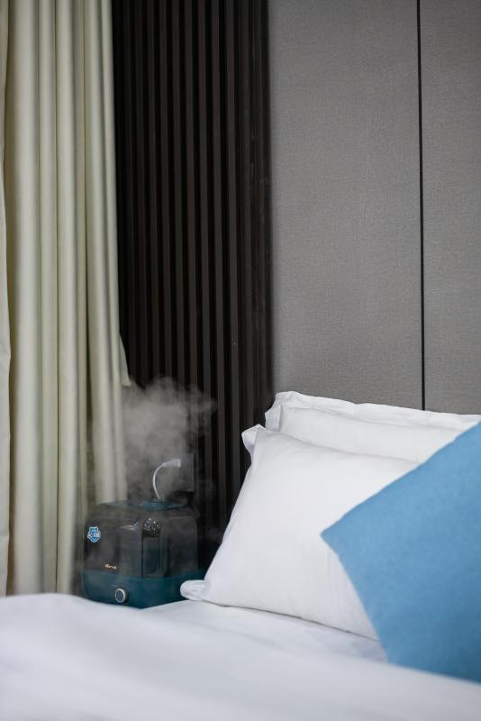 Dream Trip - image 19