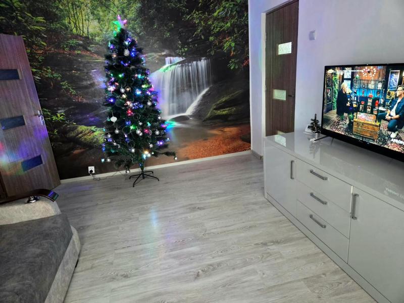 Apartament 2 camere Brazda lui Novac - image 12