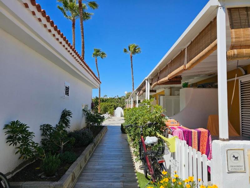 Nectarinas C1 by VillaGranCanaria - image 16