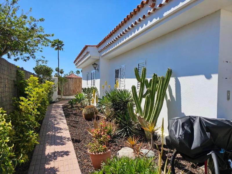 Nectarinas C1 by VillaGranCanaria - image 28
