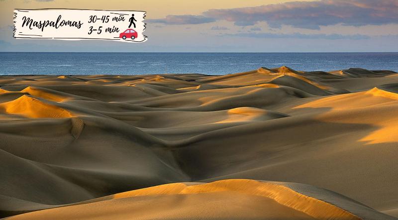 Nectarinas C1 by VillaGranCanaria - image 40